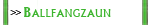 Ballfangzaun